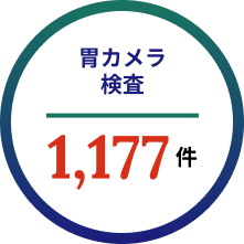 胃カメラ検査1177件