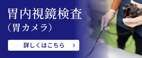 胃内視鏡検査(胃カメラ)