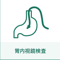 胃内視鏡検査